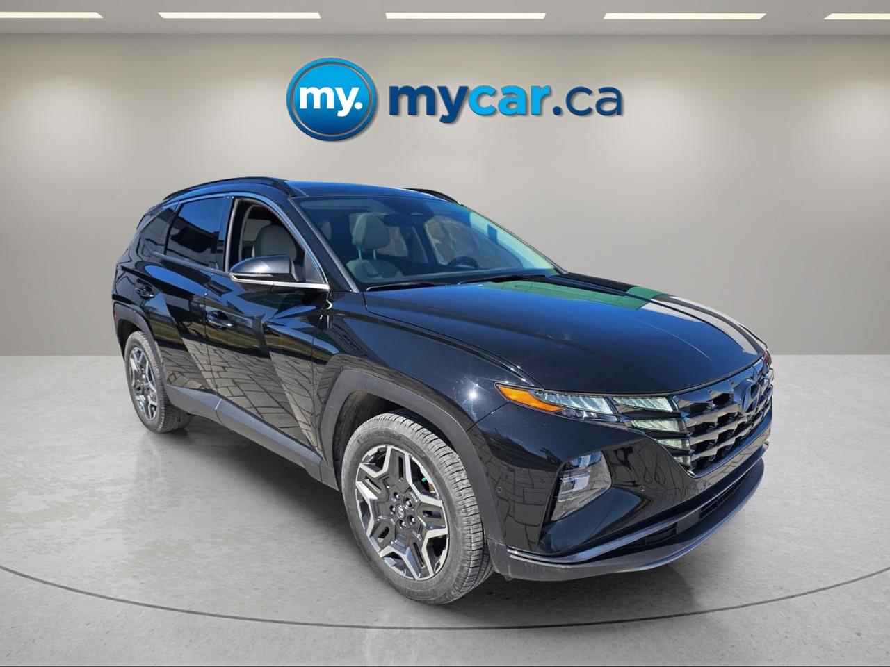 2024 Hyundai Tucson Hybrid  Photo
