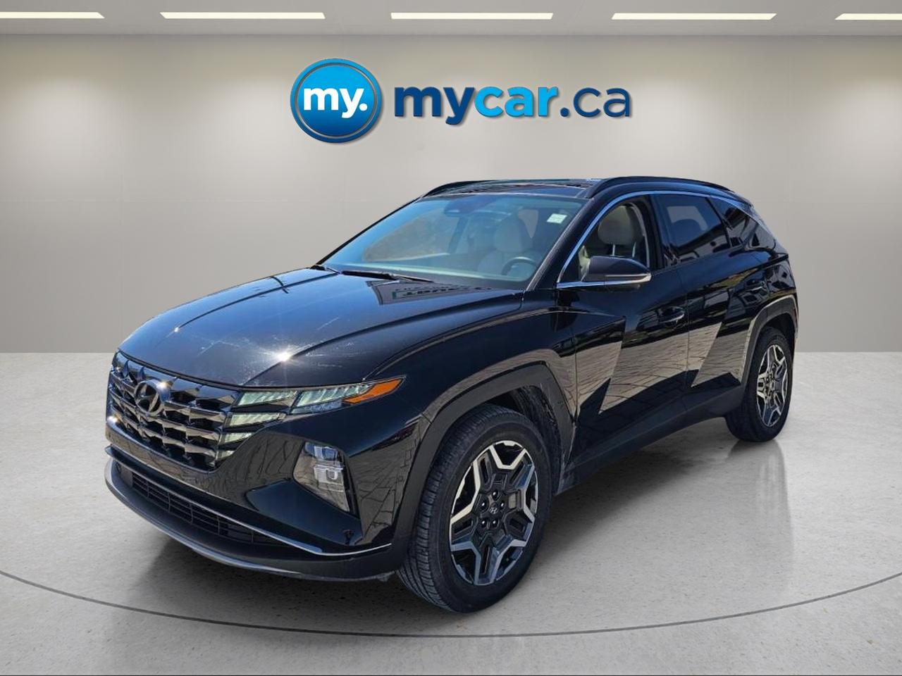 2024 Hyundai Tucson Hybrid  Photo0