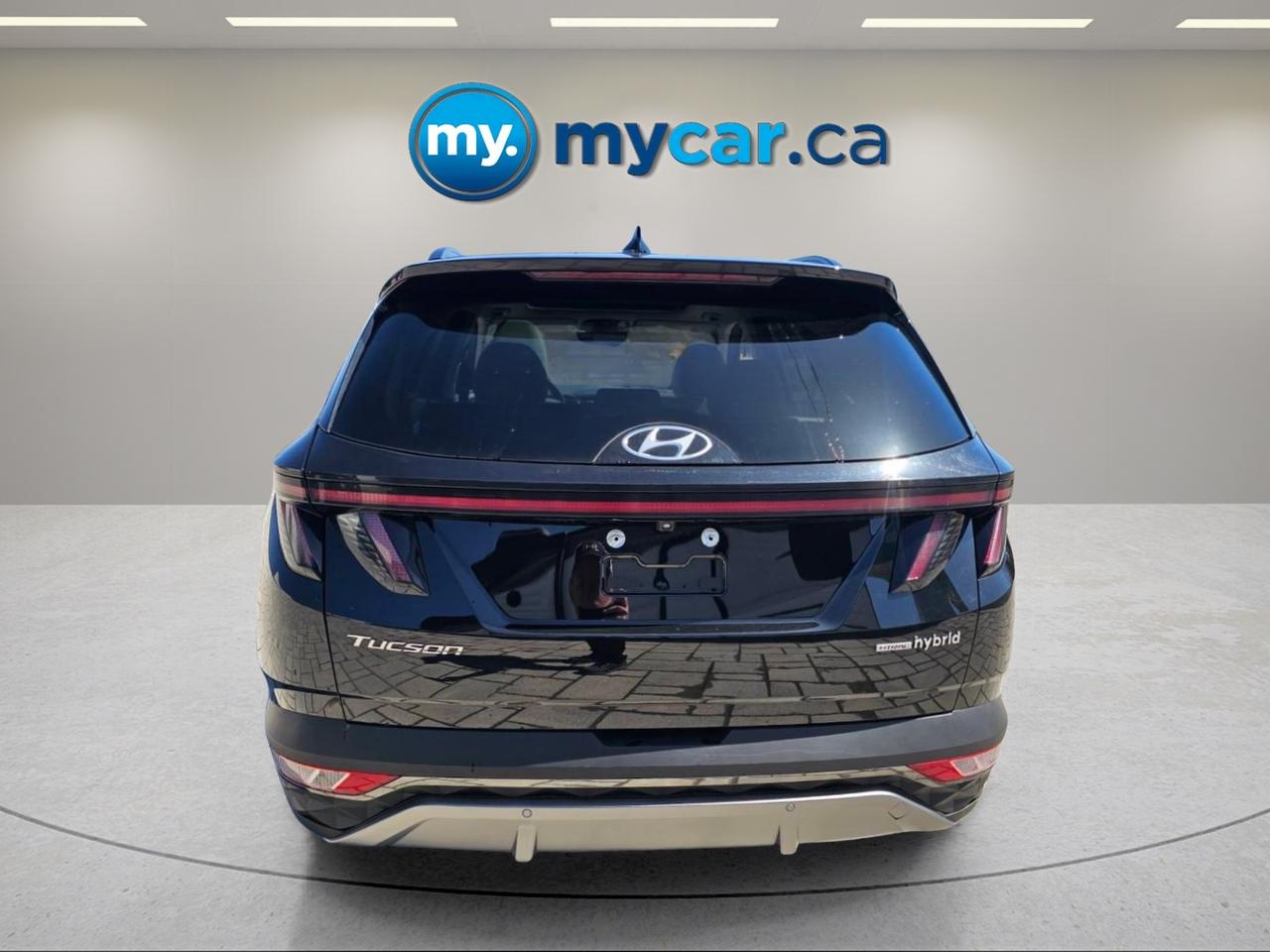 2024 Hyundai Tucson Hybrid  Photo