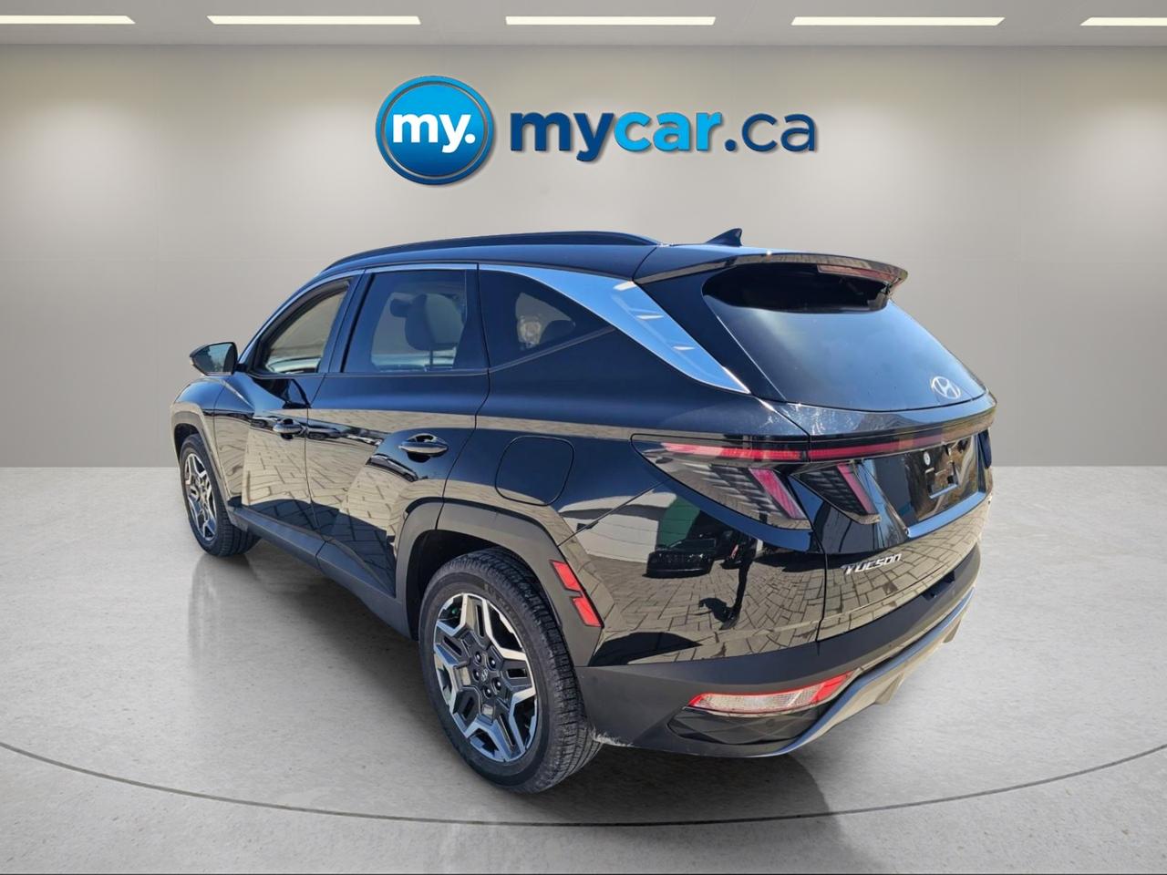 2024 Hyundai Tucson Hybrid  Photo