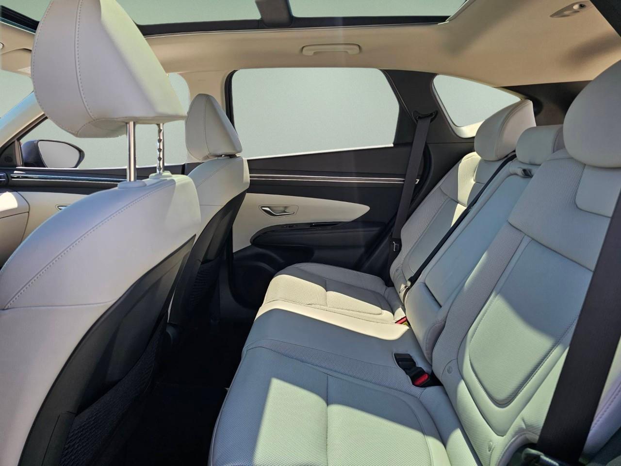 2024 Hyundai Tucson Hybrid  Photo
