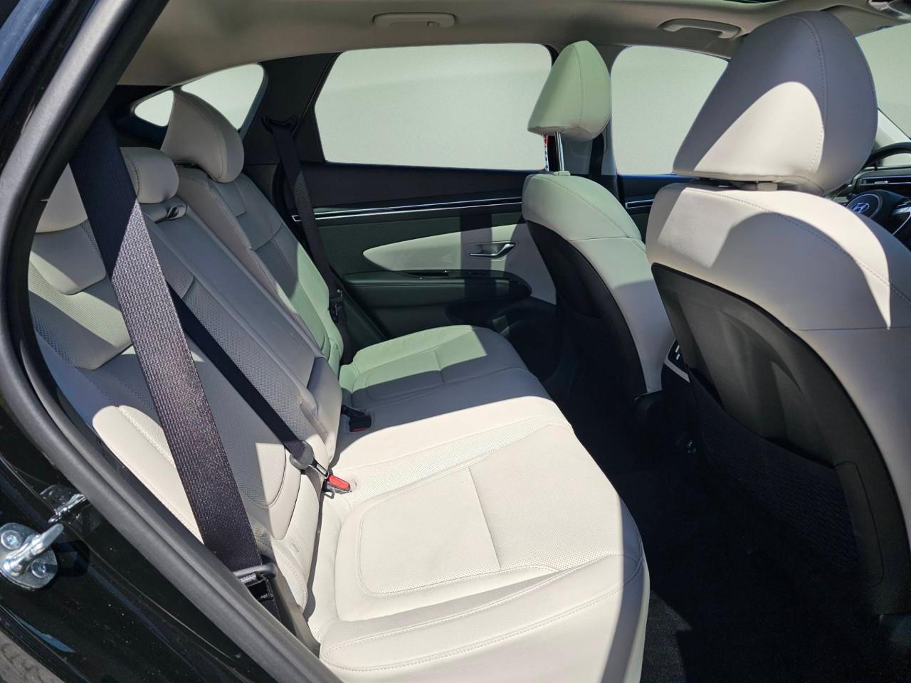 2024 Hyundai Tucson Hybrid  Photo