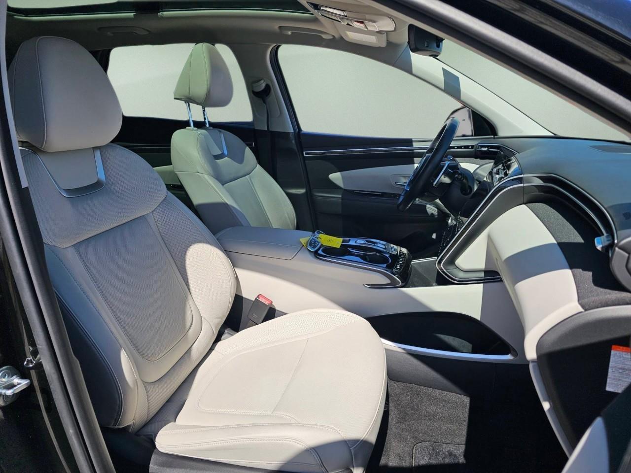 2024 Hyundai Tucson Hybrid  Photo