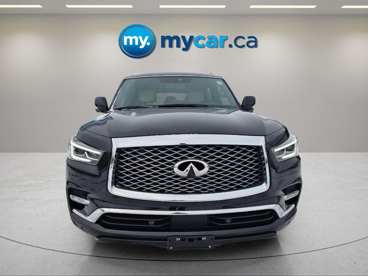2023 Infiniti QX80  Photo