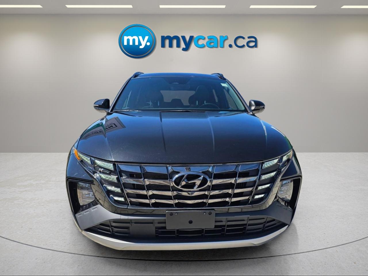 2024 Hyundai Tucson Hybrid  Photo