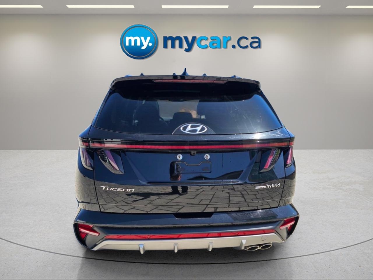 2024 Hyundai Tucson Hybrid  Photo