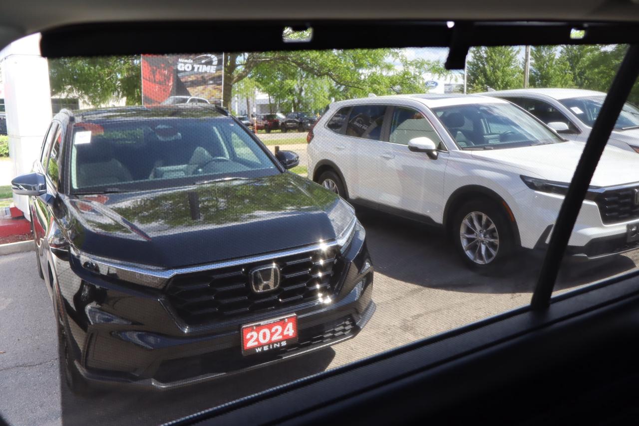 2024 Toyota Grand Highlander Hybrid XLE 4dr All-Wheel Drive Photo
