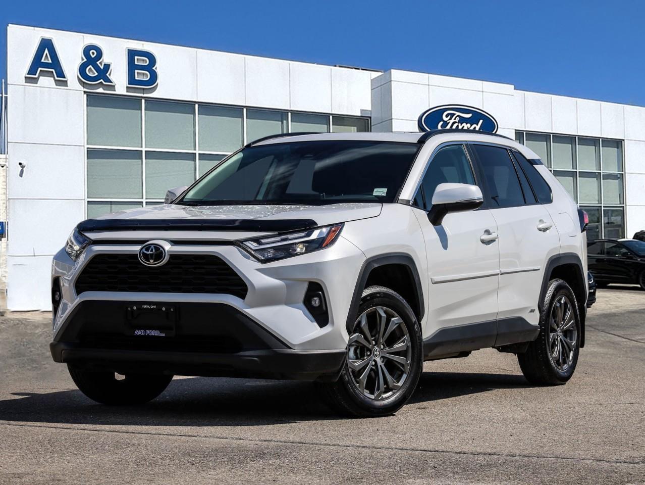 2025 Toyota RAV4 Hybrid XLE 4dr All-Wheel Drive Photo0
