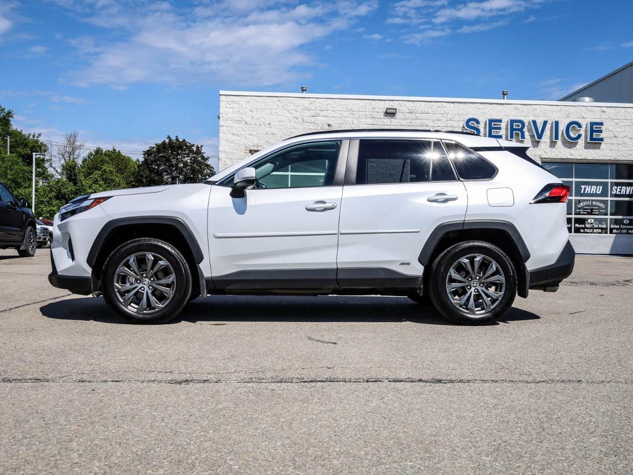 2025 Toyota RAV4 Hybrid XLE 4dr All-Wheel Drive Photo