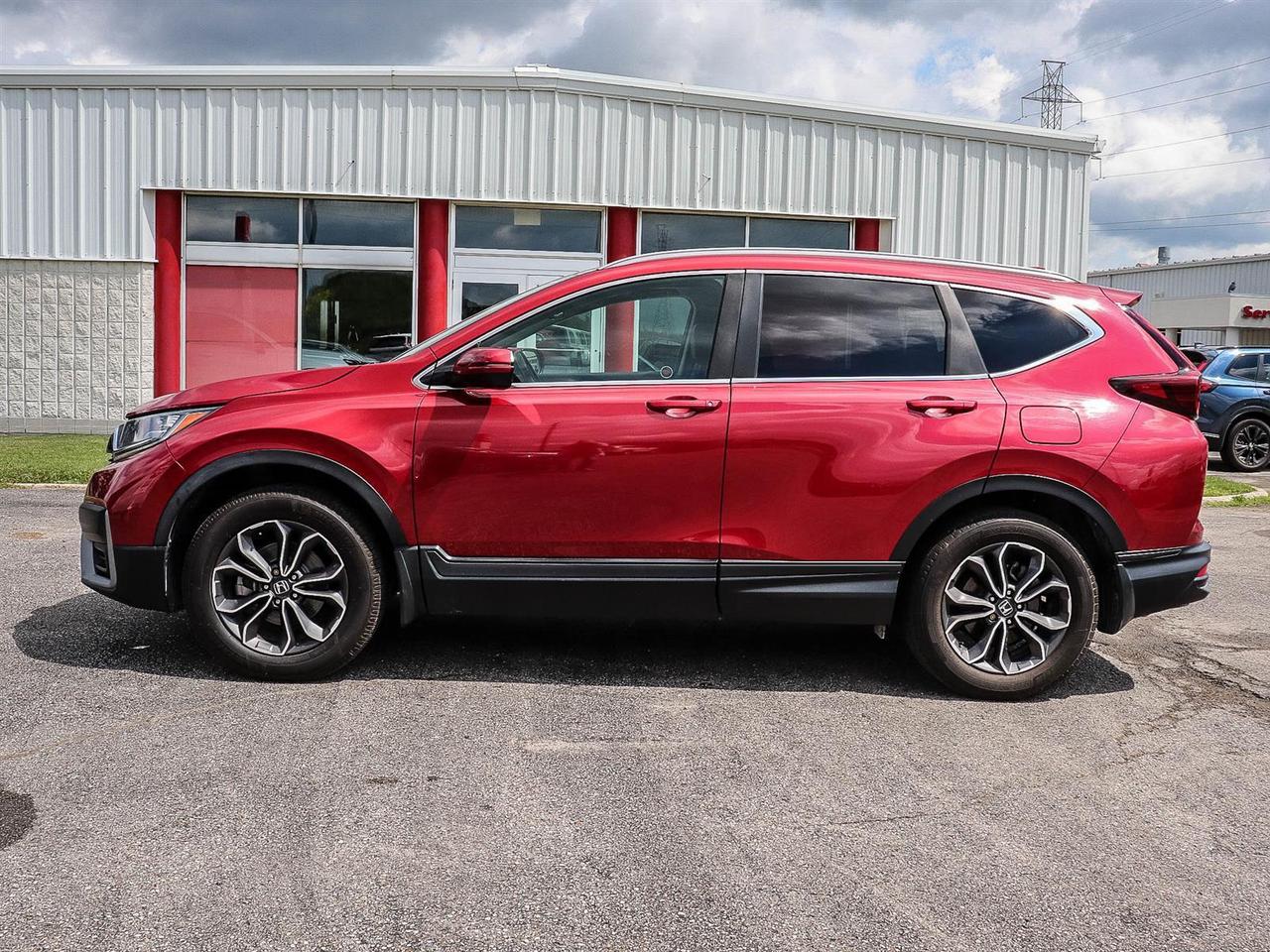 2020 Honda CR-V EX-L Photo4