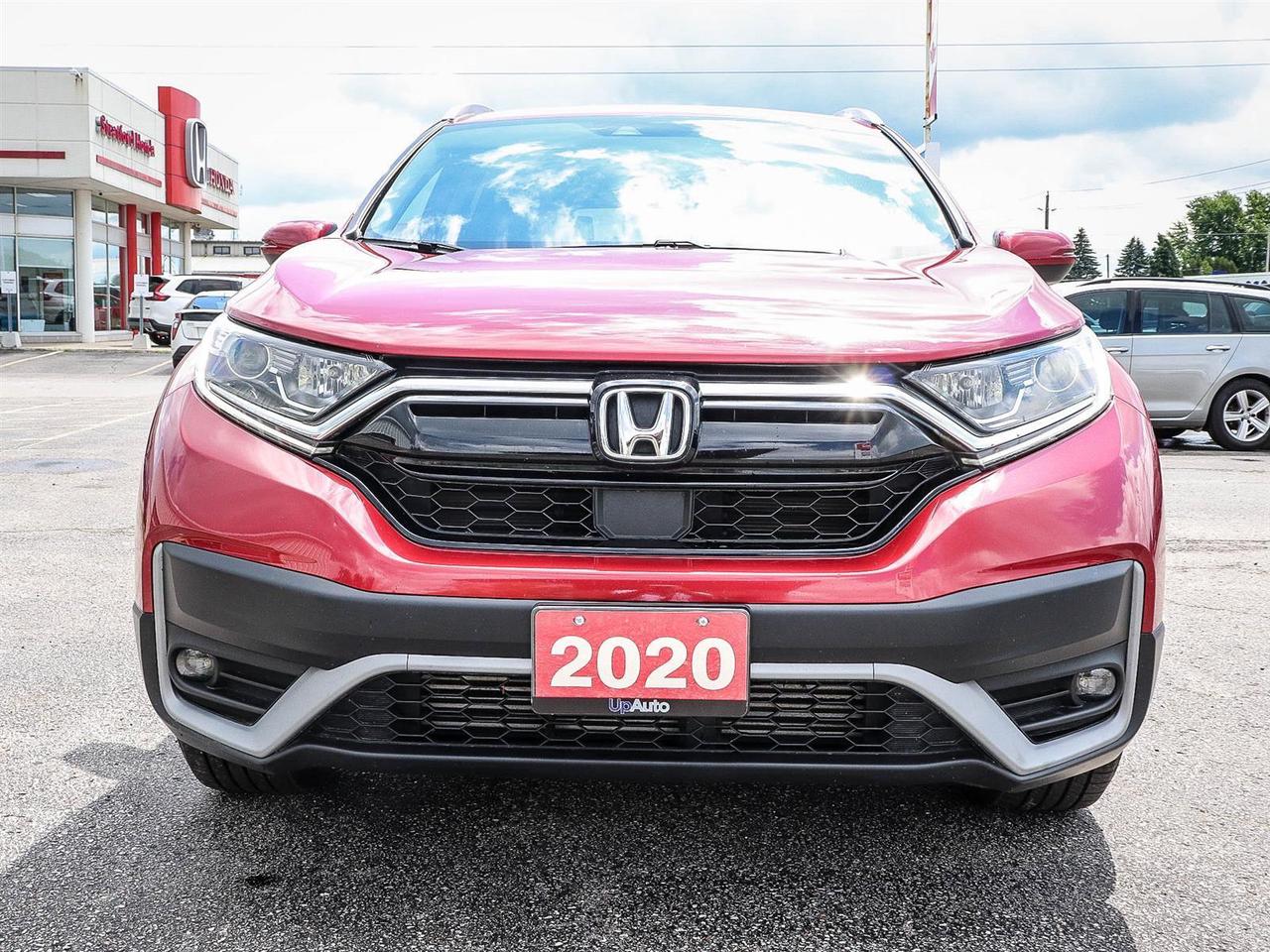 2020 Honda CR-V EX-L Photo