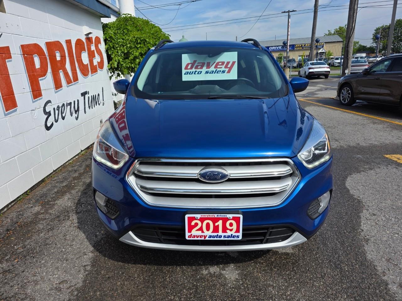 2019 Ford Escape SEL 4dr 4x4 Photo
