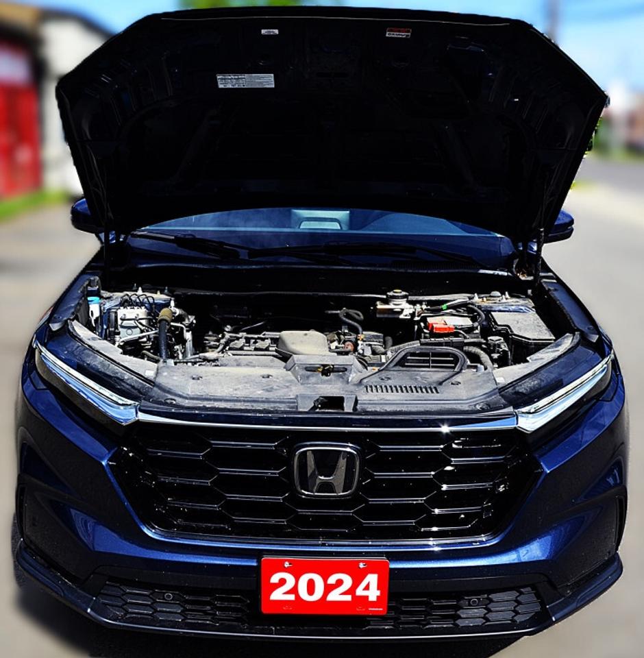 2024 Honda CR-V EX L 4dr All Wheel Drive CVT Photo