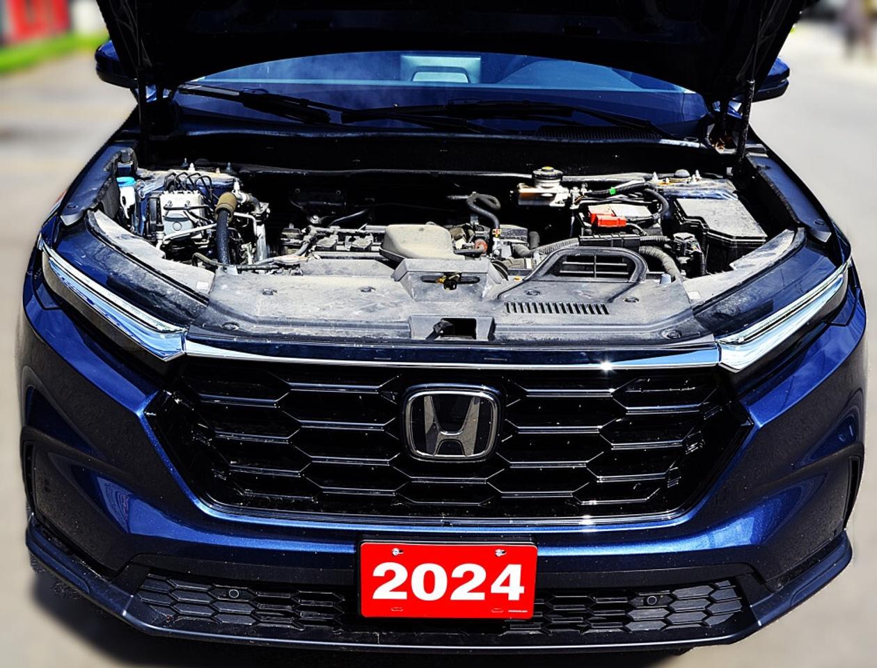 2024 Honda CR-V EX L 4dr All Wheel Drive CVT Photo