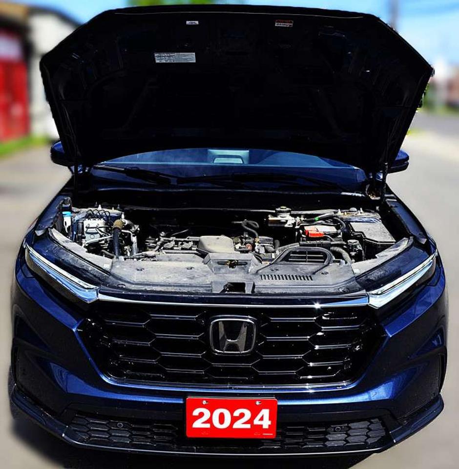 2024 Honda CR-V EX L 4dr All Wheel Drive CVT Photo