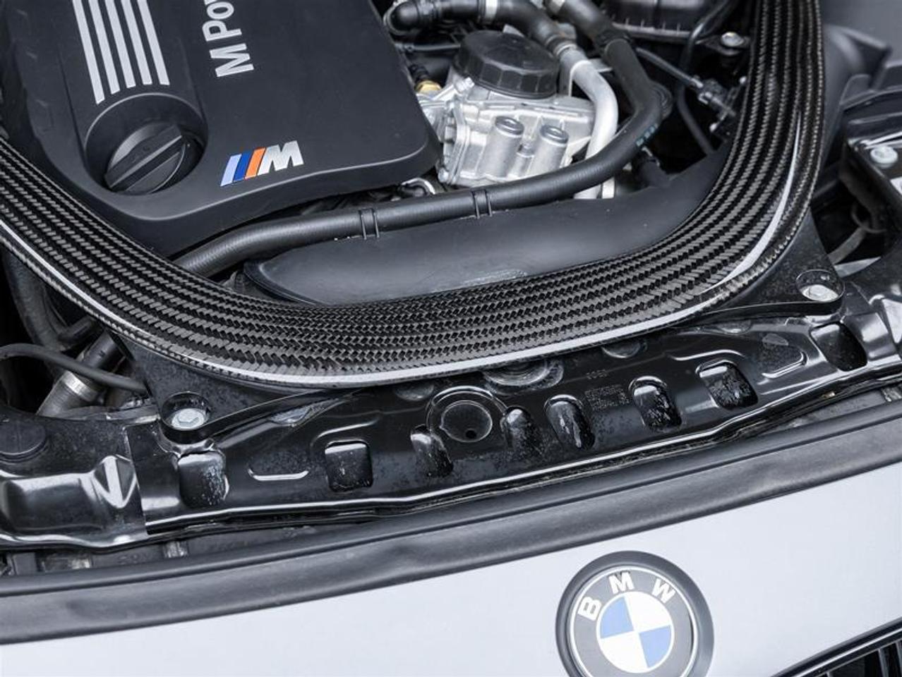 2016 BMW M4  Photo