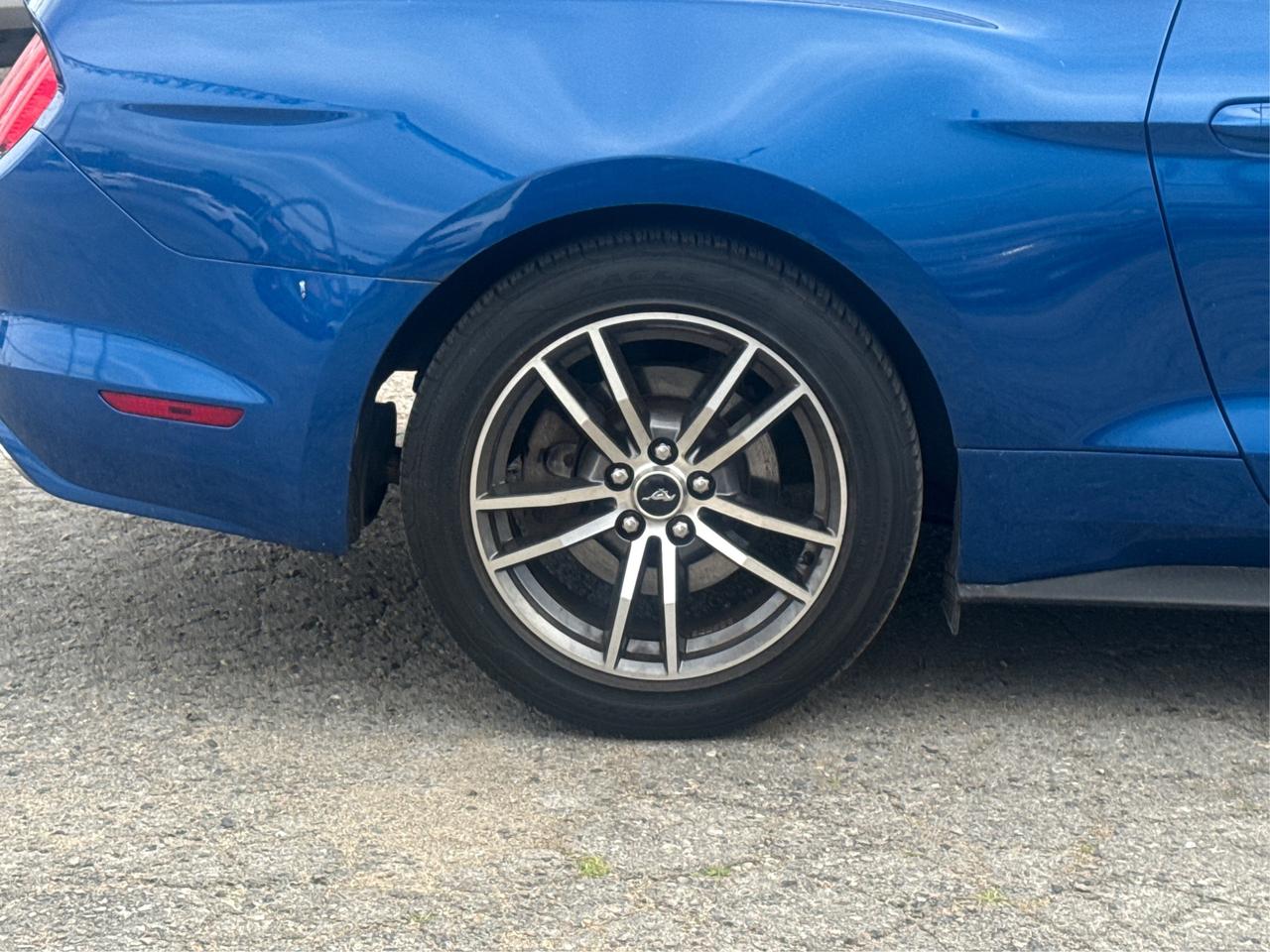 2017 Ford Mustang Fastback Premium CERTIFIED MINT WE FINANANCE ALL Photo