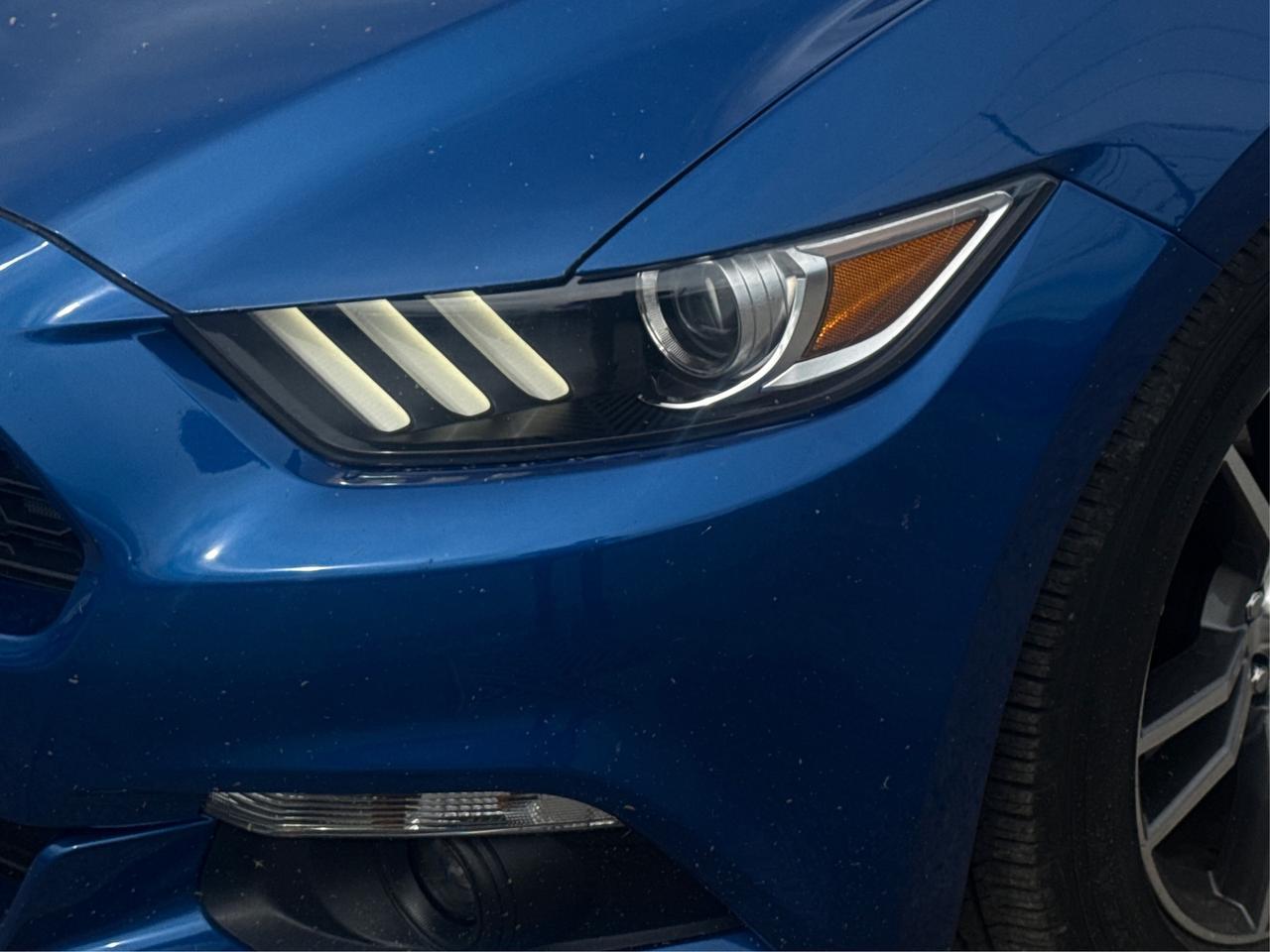 2017 Ford Mustang Fastback Premium CERTIFIED MINT WE FINANANCE ALL Photo