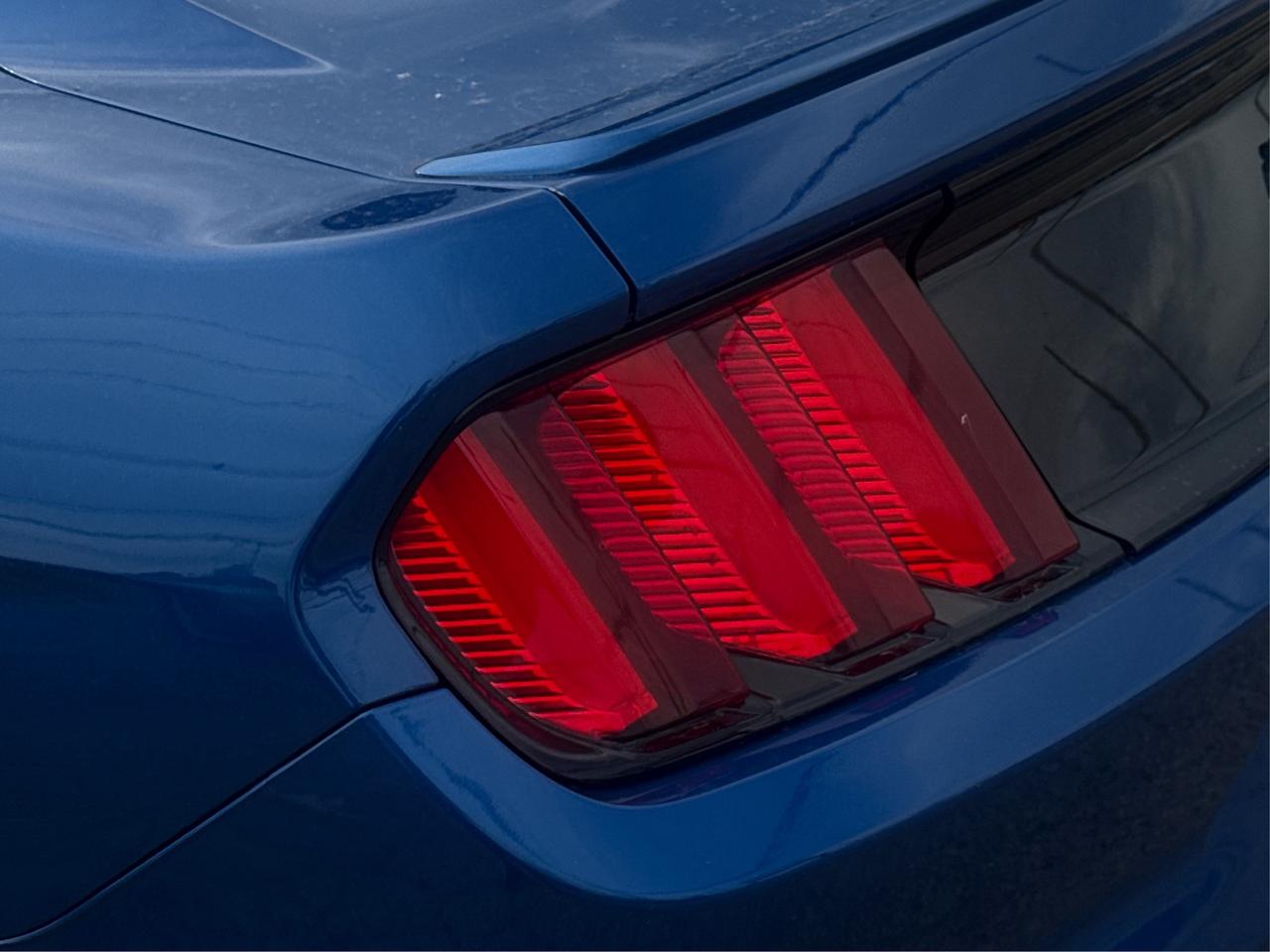 2017 Ford Mustang Fastback Premium CERTIFIED MINT WE FINANANCE ALL Photo
