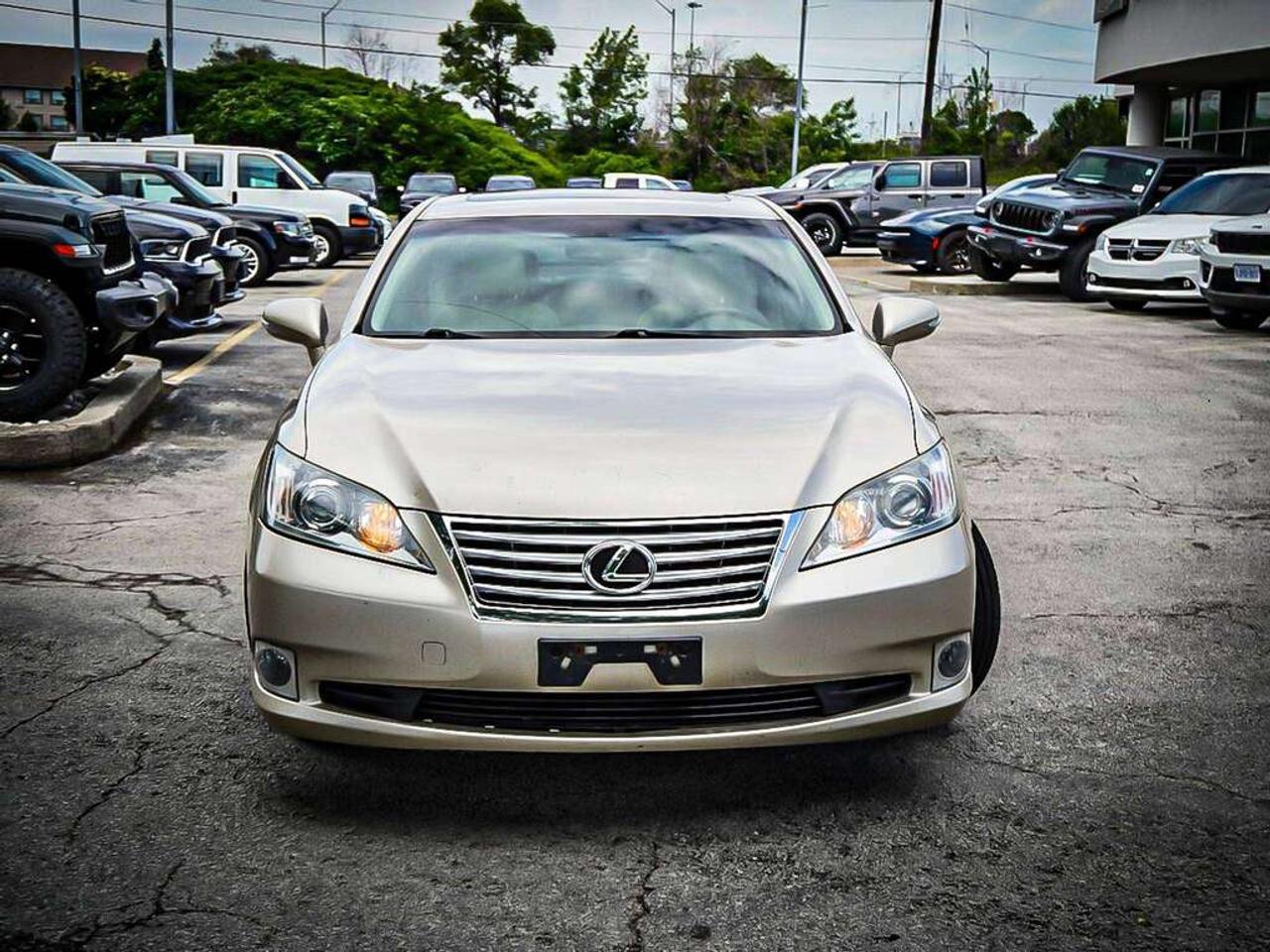 2011 Lexus ES 350  Photo