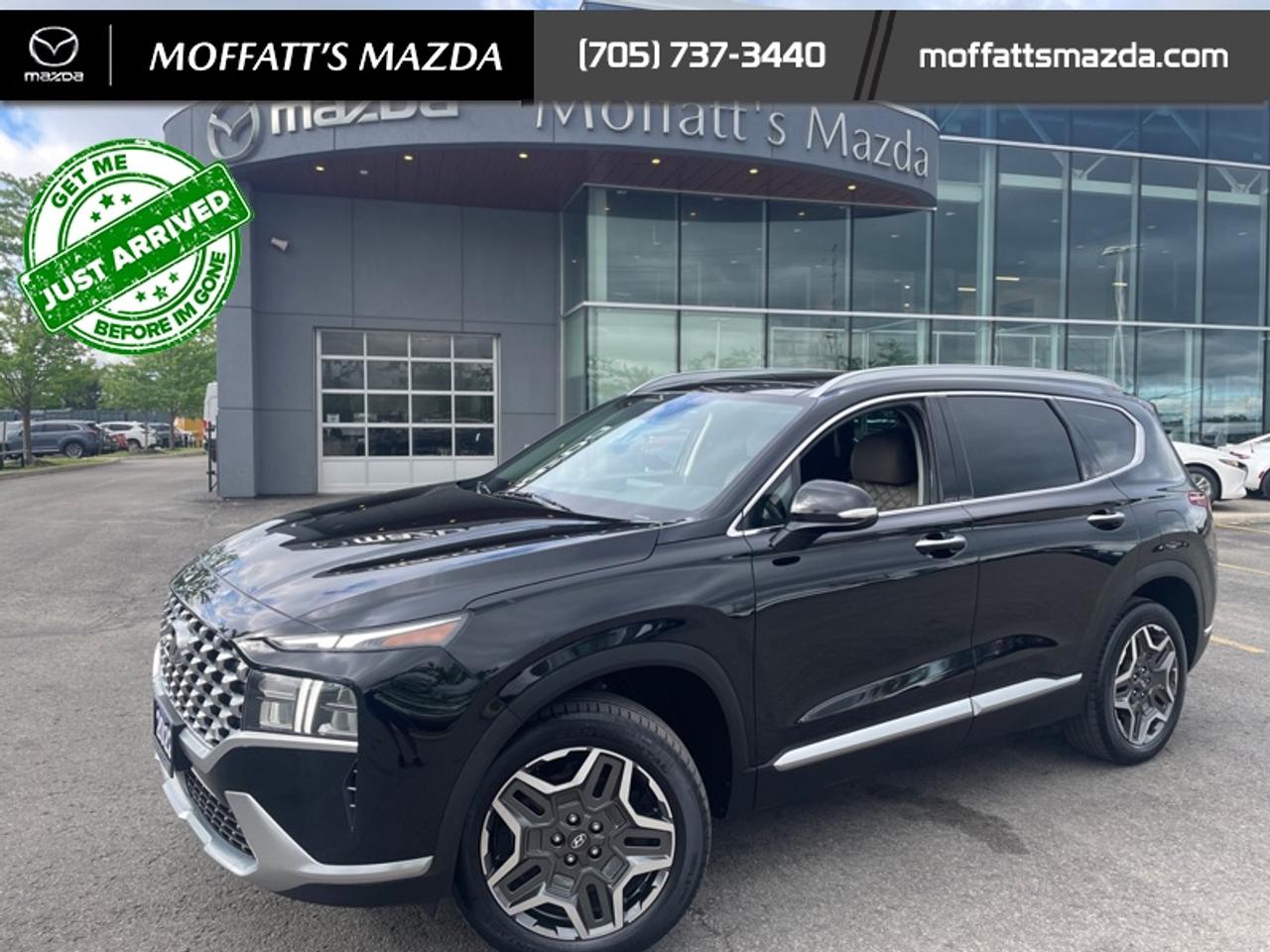 2022 Hyundai Santa Fe Plug-In Hybrid Luxury Photo