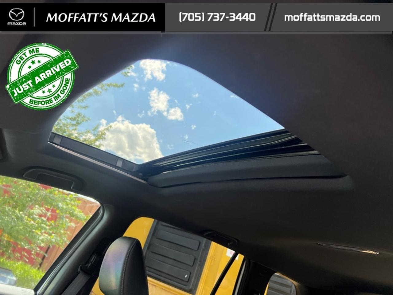 2023 Honda Passport Touring Photo