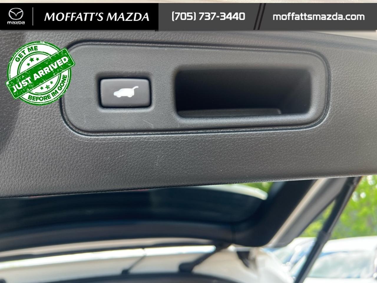 2023 Honda Passport Touring Photo