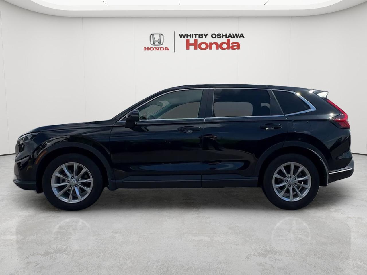 2024 Honda CR-V EX-L AWD Photo2