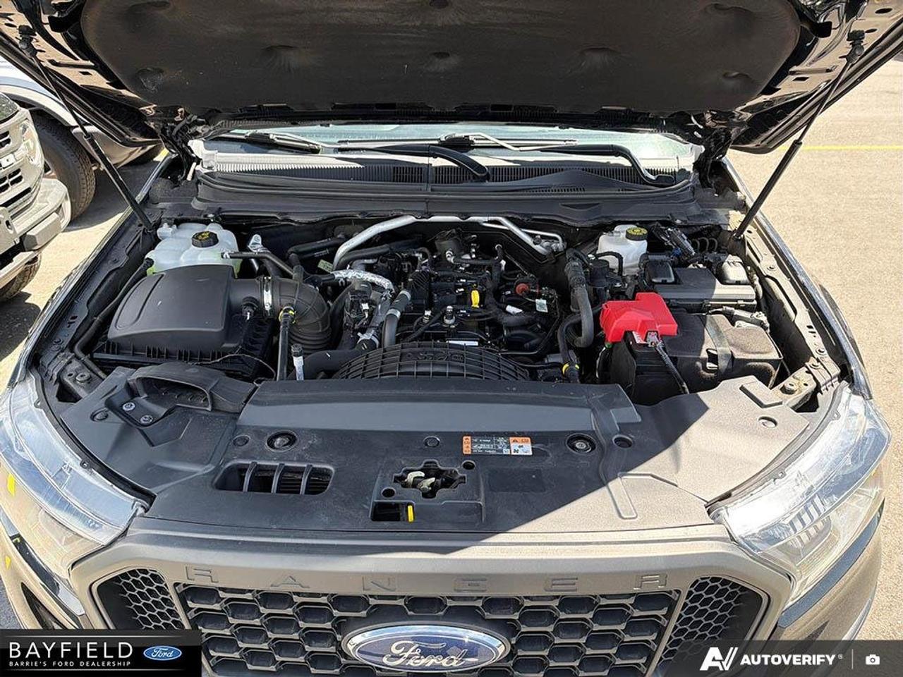 2021 Ford Ranger  Photo