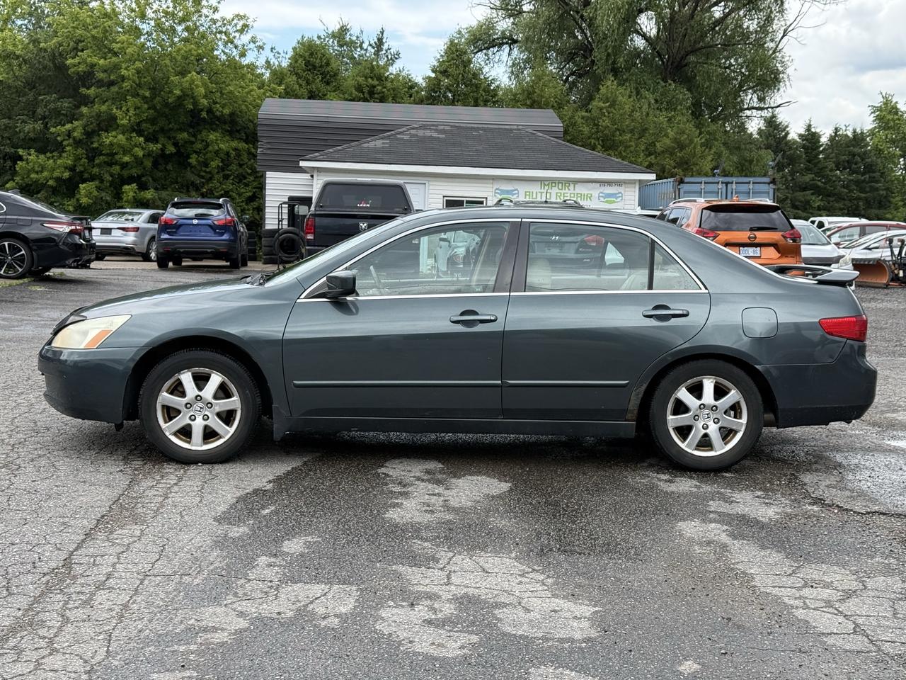 2005 Honda Accord 4dr EX V6 Auto Photo