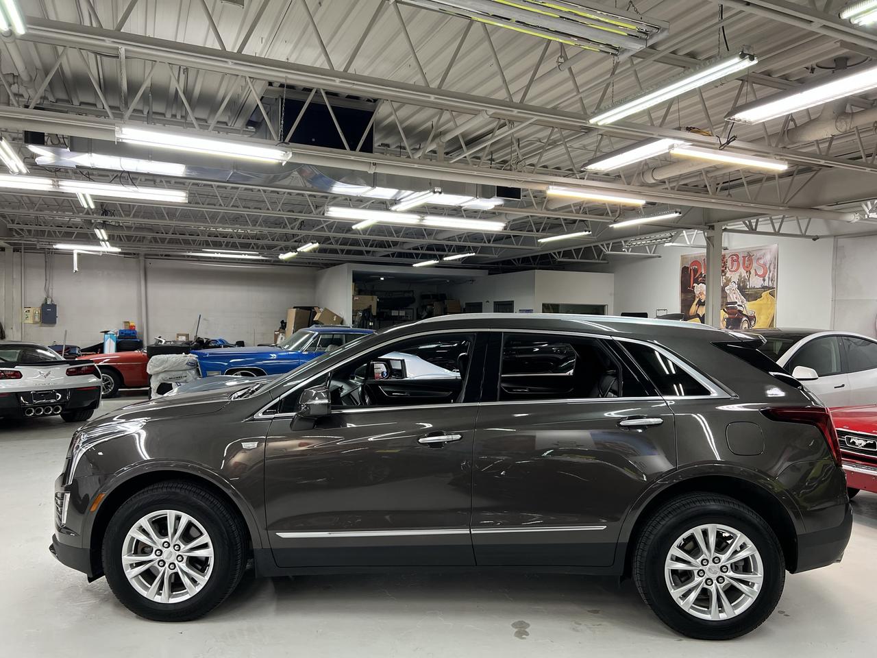2020 Cadillac XT5 AWD 4dr Luxury Photo