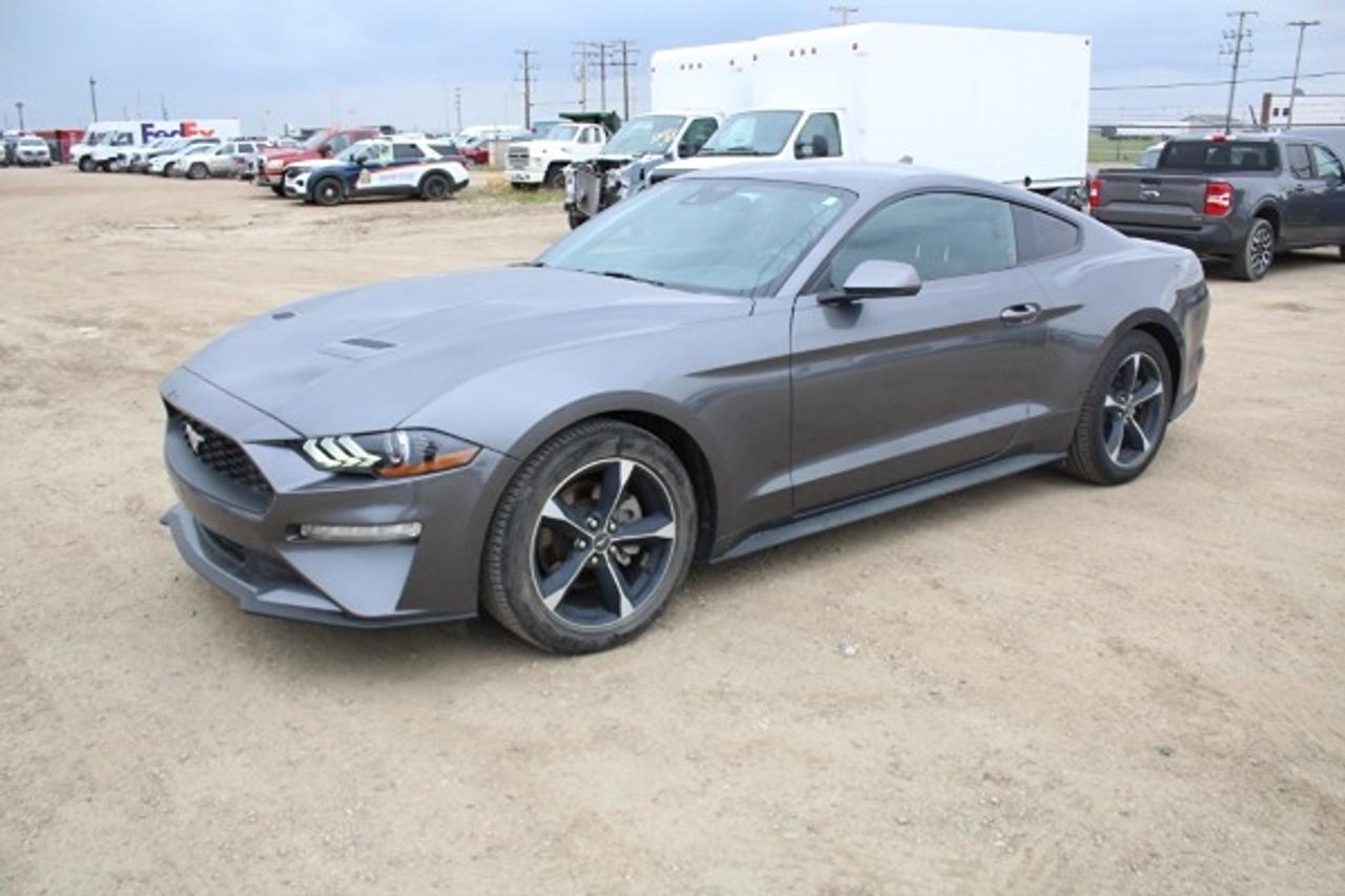 2022 Ford Mustang EcoBoost Auto w/Power cloth, NAV, BUC - Photo #1
