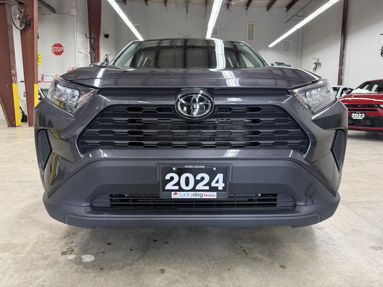 2024 Toyota RAV4 LE Photo