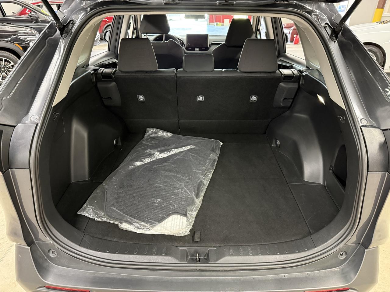 2024 Toyota RAV4 LE Photo