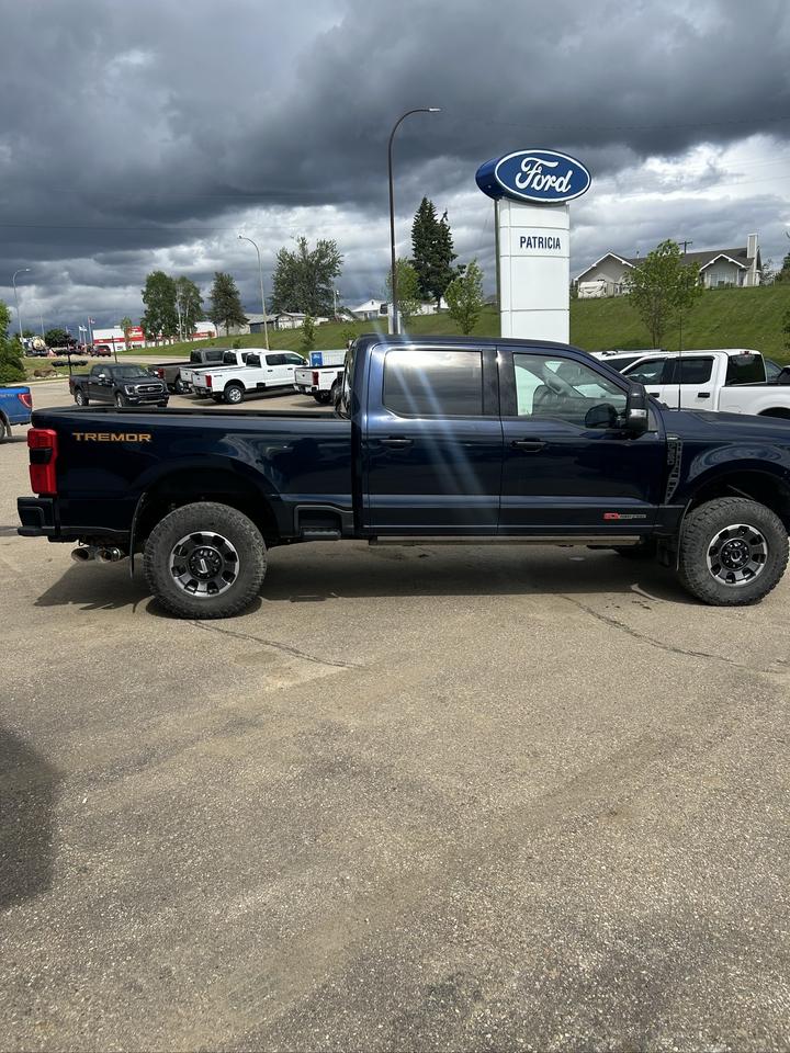 2023 Ford F-350 Super Duty SRW Platinum Photo2
