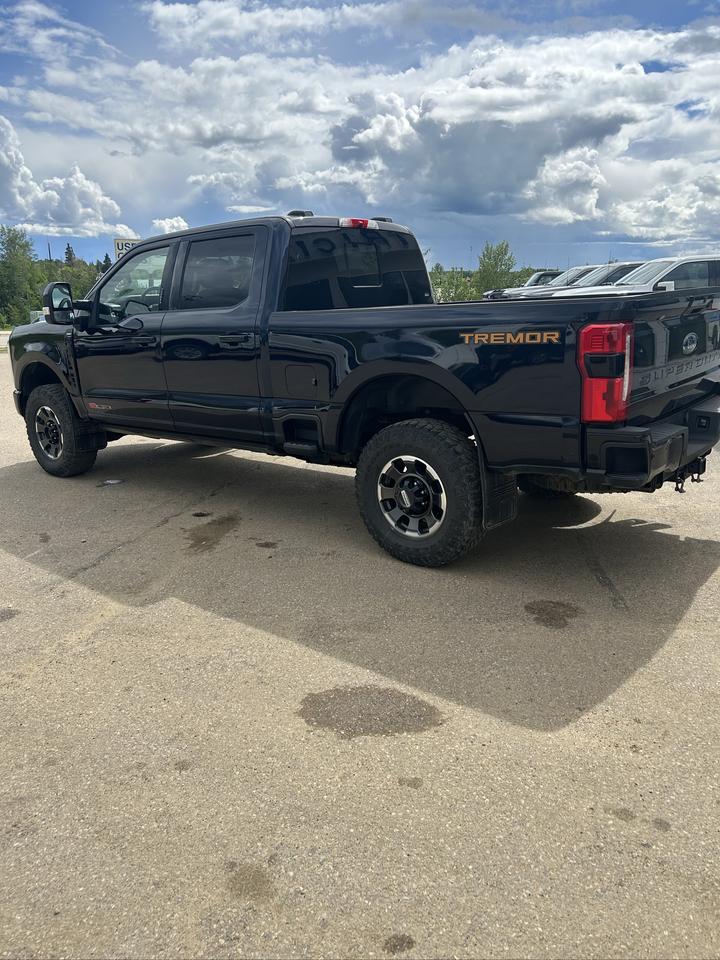 2023 Ford F-350 Super Duty SRW Platinum Photo4