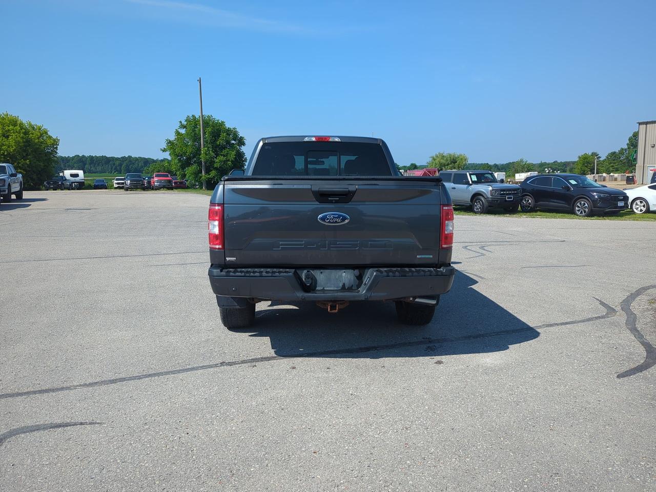 2019 Ford F-150 XLT 4WD SuperCrew 6.5' Box Photo4