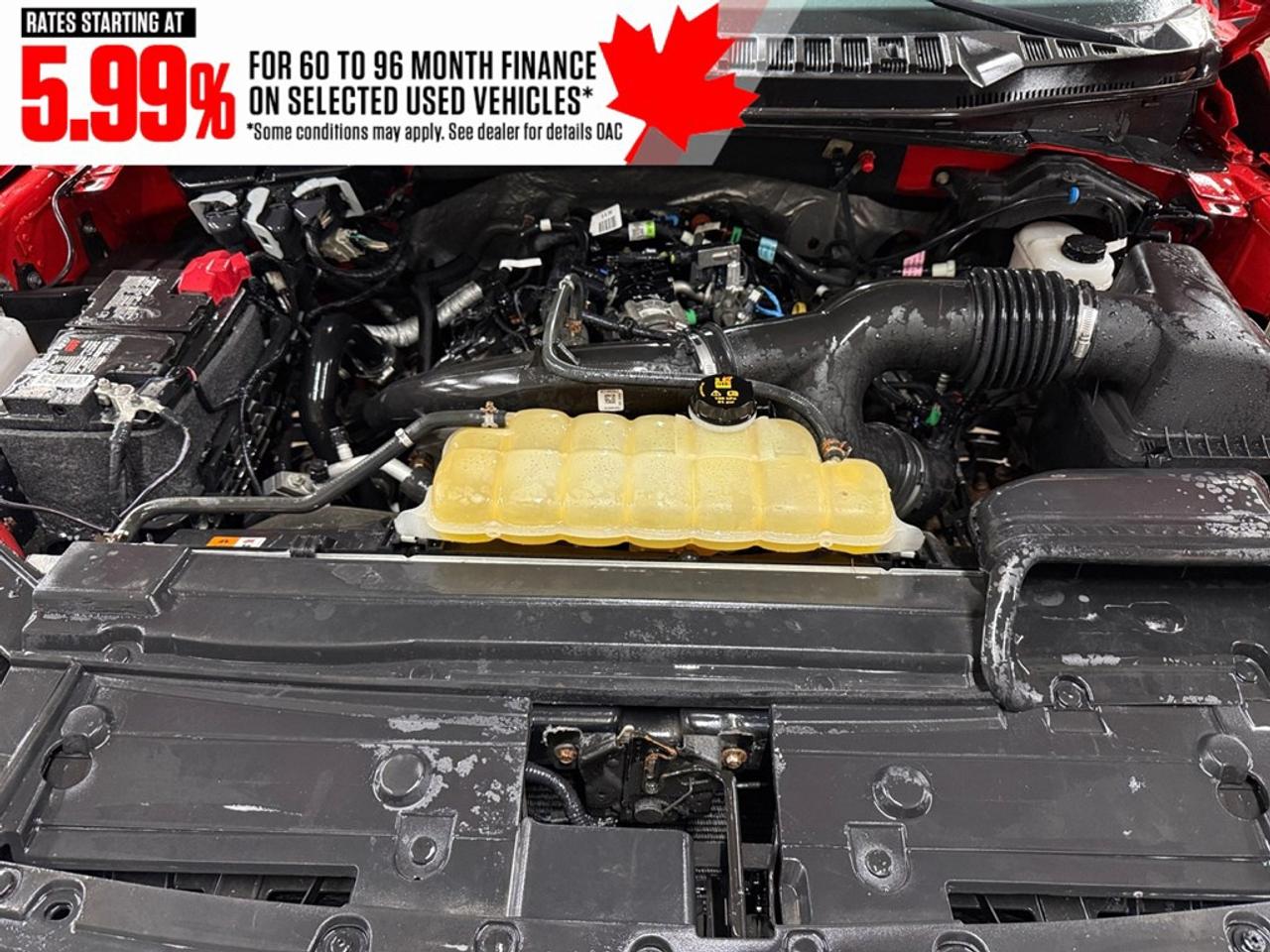 2019 Ford F-150 XLT 4WD SuperCrew 5.5' Box Photo