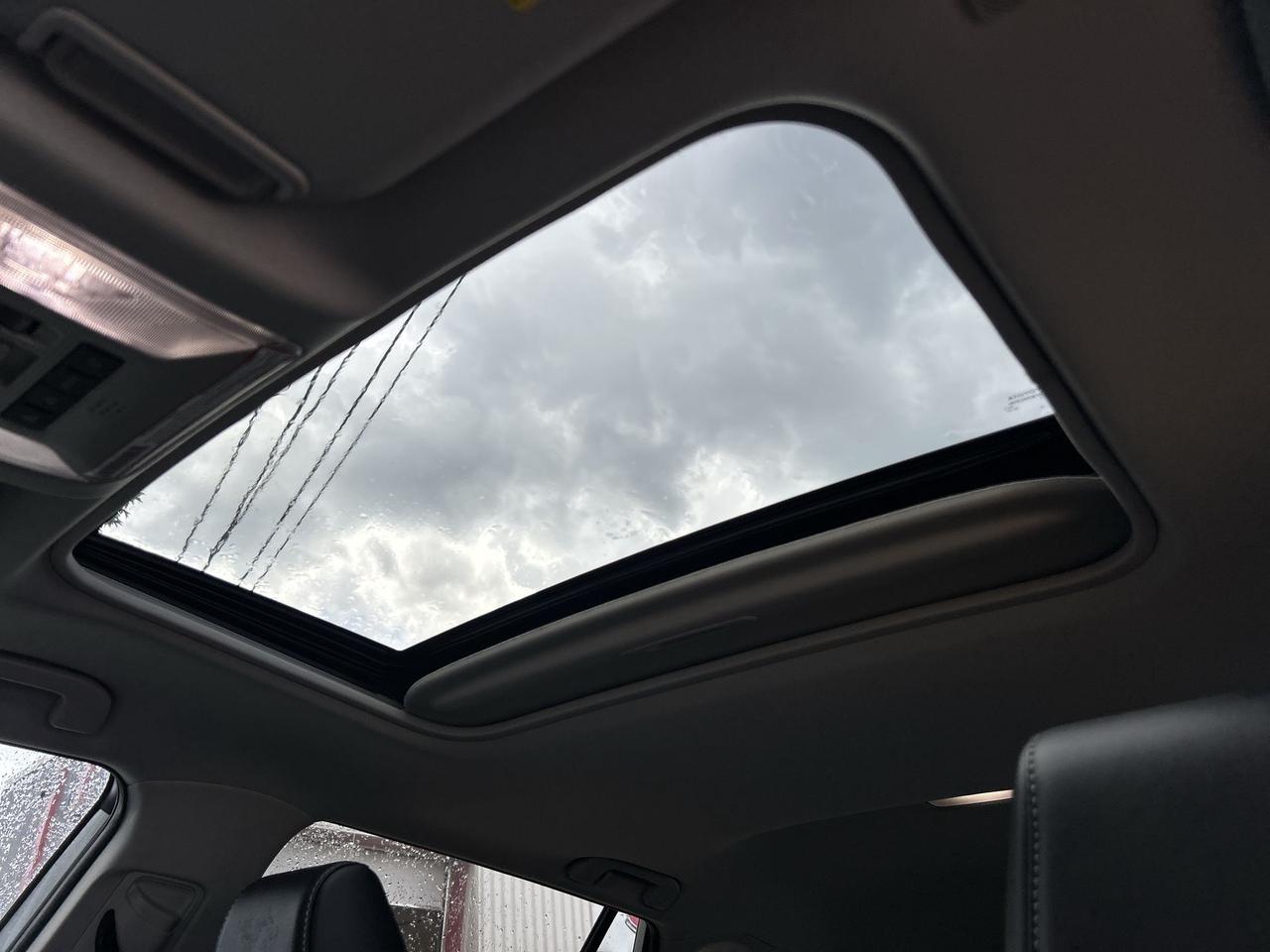 2023 Toyota RAV4 Hybrid Limited AWD Photo