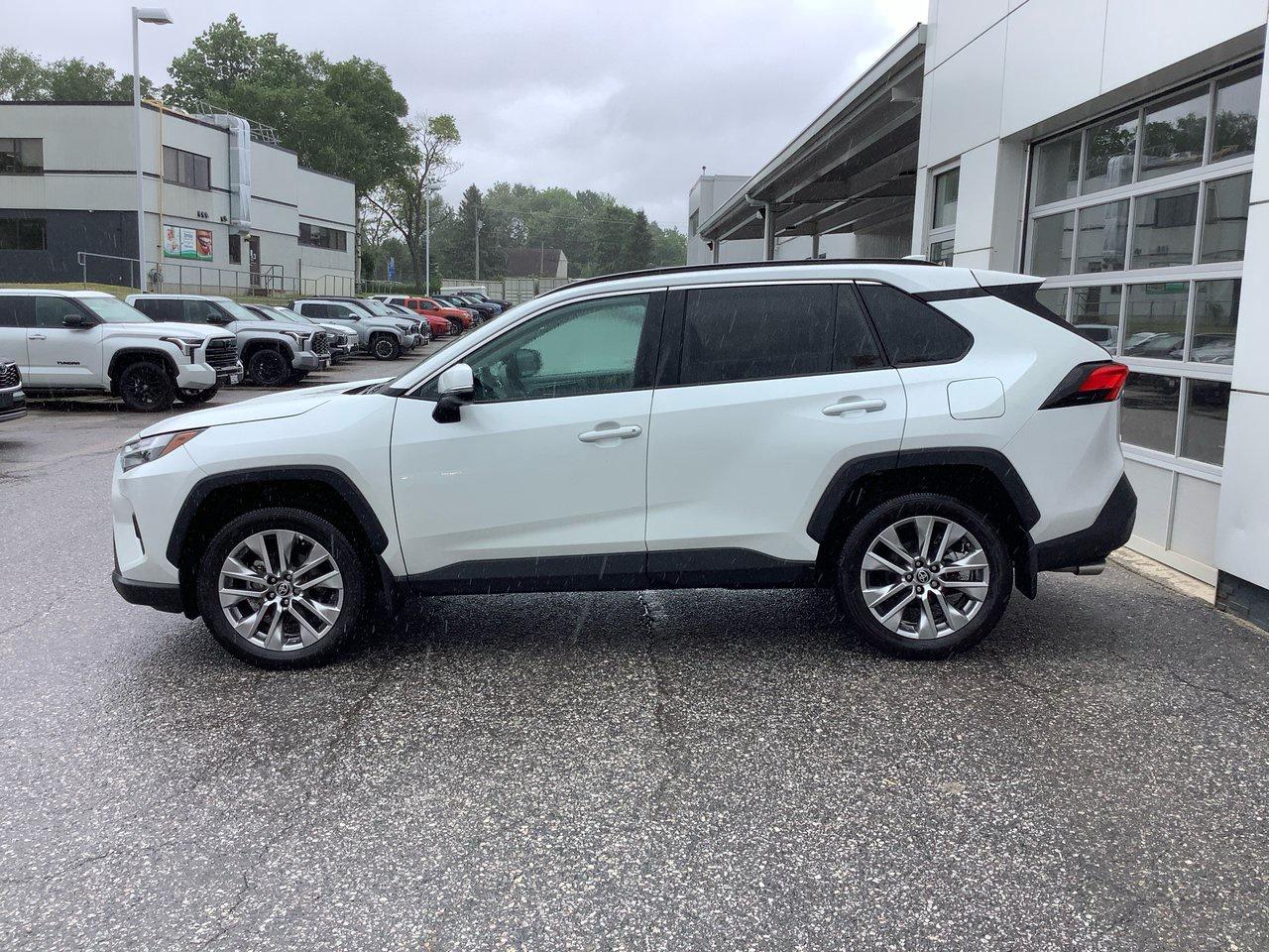 2025 Toyota RAV4 XLE Photo