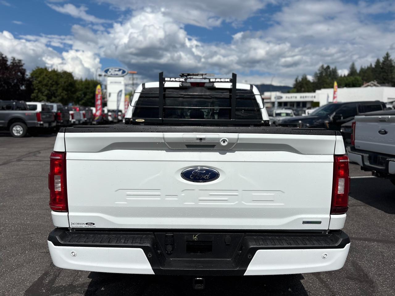2022 Ford F-150 XLT Photo3