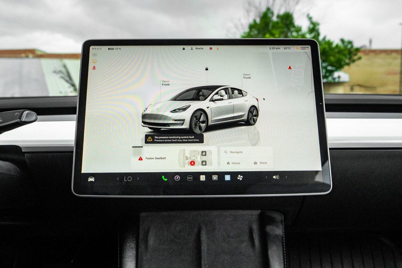 2022 Tesla Model 3 Base RWD Photo