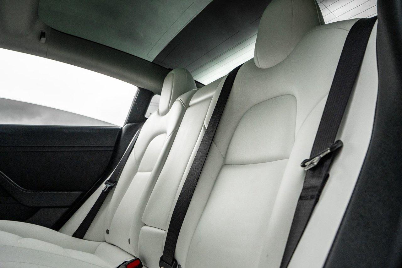 2022 Tesla Model 3 Base RWD Photo