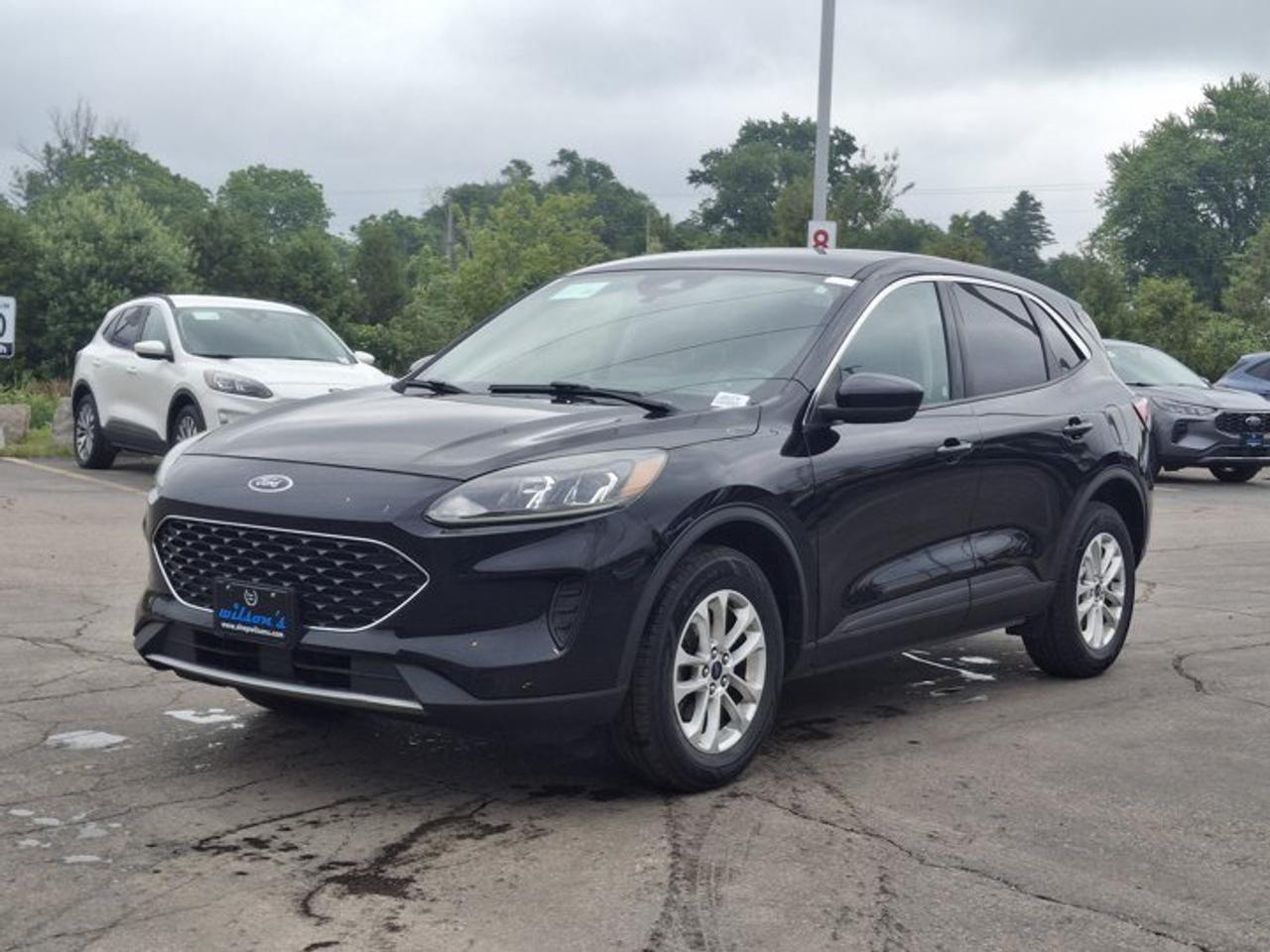 Check out this certified 2020 Ford Escape SE AWD | Heated Seats | Lane Keep System | Co-Pilot 360 | Reverse Camera | and More !. Its Automatic transmission and 1.5 L engine will keep you going. This Ford Escape has the following options: Reverse Camera, Air Conditioning, Heated Seats, Tilt Steering Wheel, Steering Radio Controls, Power Windows, Power Locks, Traction Control, Power Mirrors, and AWD. Stop by and visit us at Mark Wilsons Better Used Cars, 5055 Whitelaw Road, Guelph, ON N1H 6J4.MASSIVE SELECTION: 500+ vehicles in ONE LOCATION, all Live Market Priced for the best value!STRAIGHTFORWARD & TRANSPARENT PRICING: Our Advertised Price INCLUDES:Safety Certification! (No separate certification fee upcharge).FREE Carfax History Report!NO upcharge for paying cash!CONFIDENCE & PEACE OF MIND: 30-Day/3,000 km Warranty INCLUDED! Plus a 5-Day Exchange Privilege!*EASY FINANCING: Better-than-bank rates, $0 Down, and 3 Months No Payments available OAC. BAD CREDIT APPROVED HERE!WE BUY CARS: Get Top Dollar for your trade, or sell us your vehicle for CASH even if you dont buy ours!www.shopwilsons.comAn Honest, Transparent Buying Experience. Trusted in business since 1961!(Cash Prices Exclude HST and Licensing Fees only.)