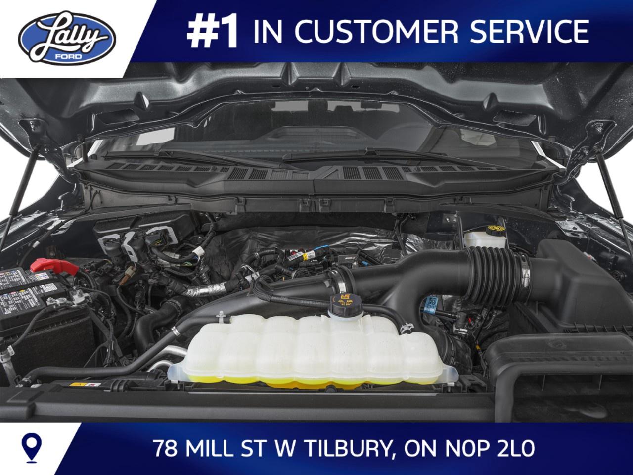 2024 Ford F-150 STX 4WD SuperCrew 5.5' Box Photo
