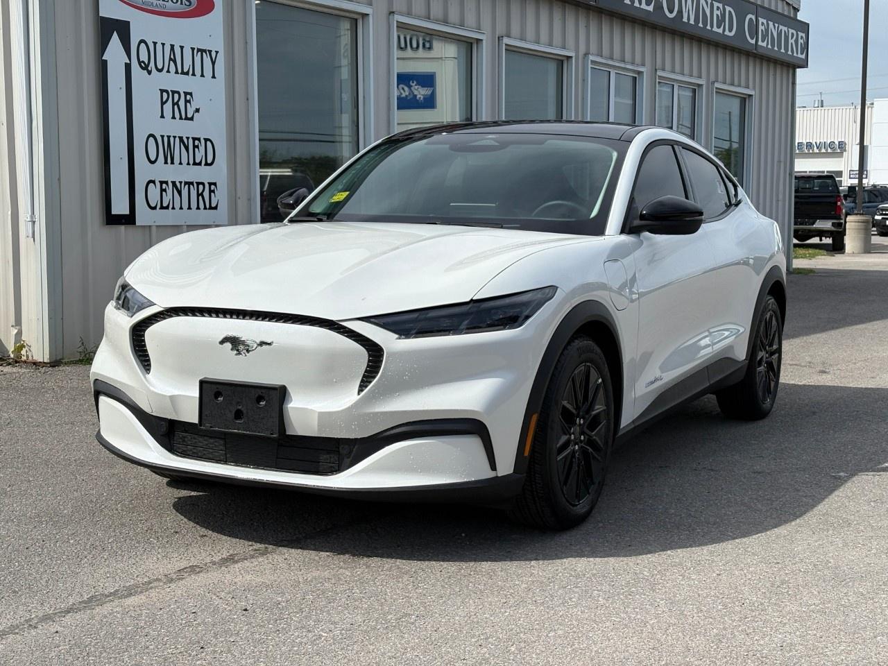 14286563.819473576