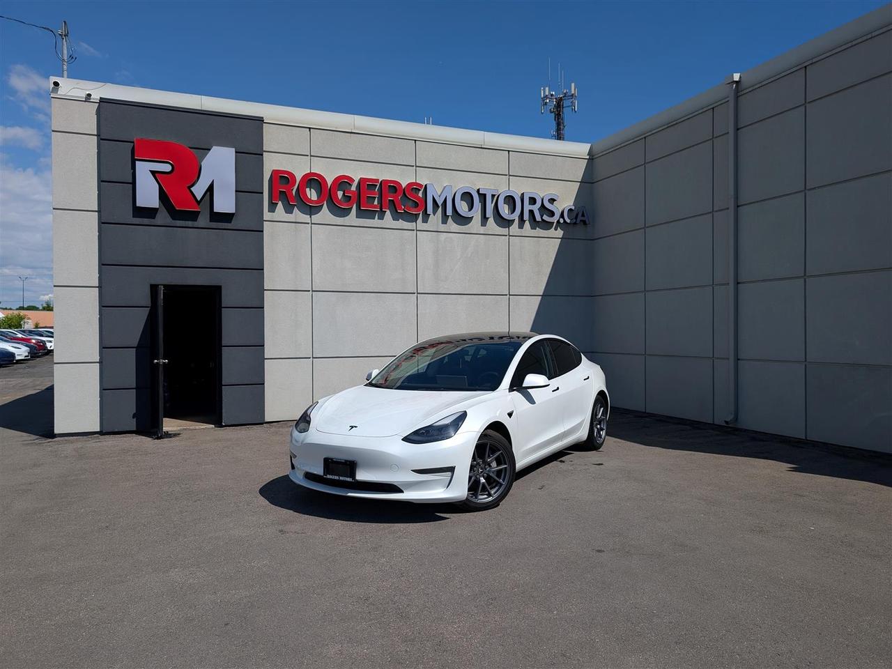 2022 Tesla Model 3 STANDARD Photo