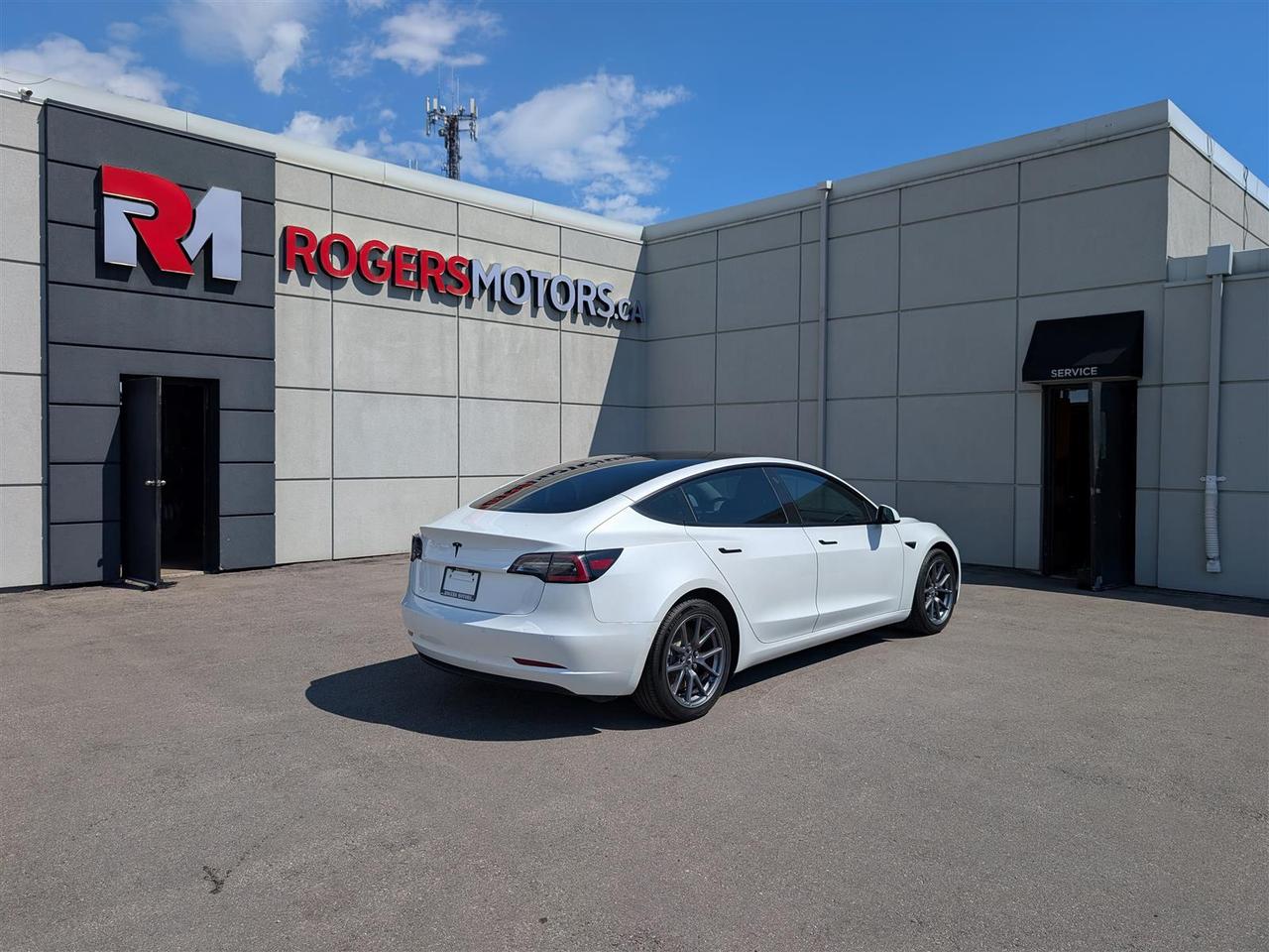 2022 Tesla Model 3 STANDARD Photo