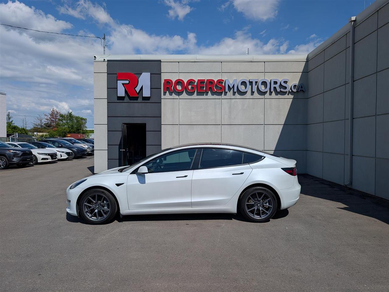 2022 Tesla Model 3 STANDARD Photo