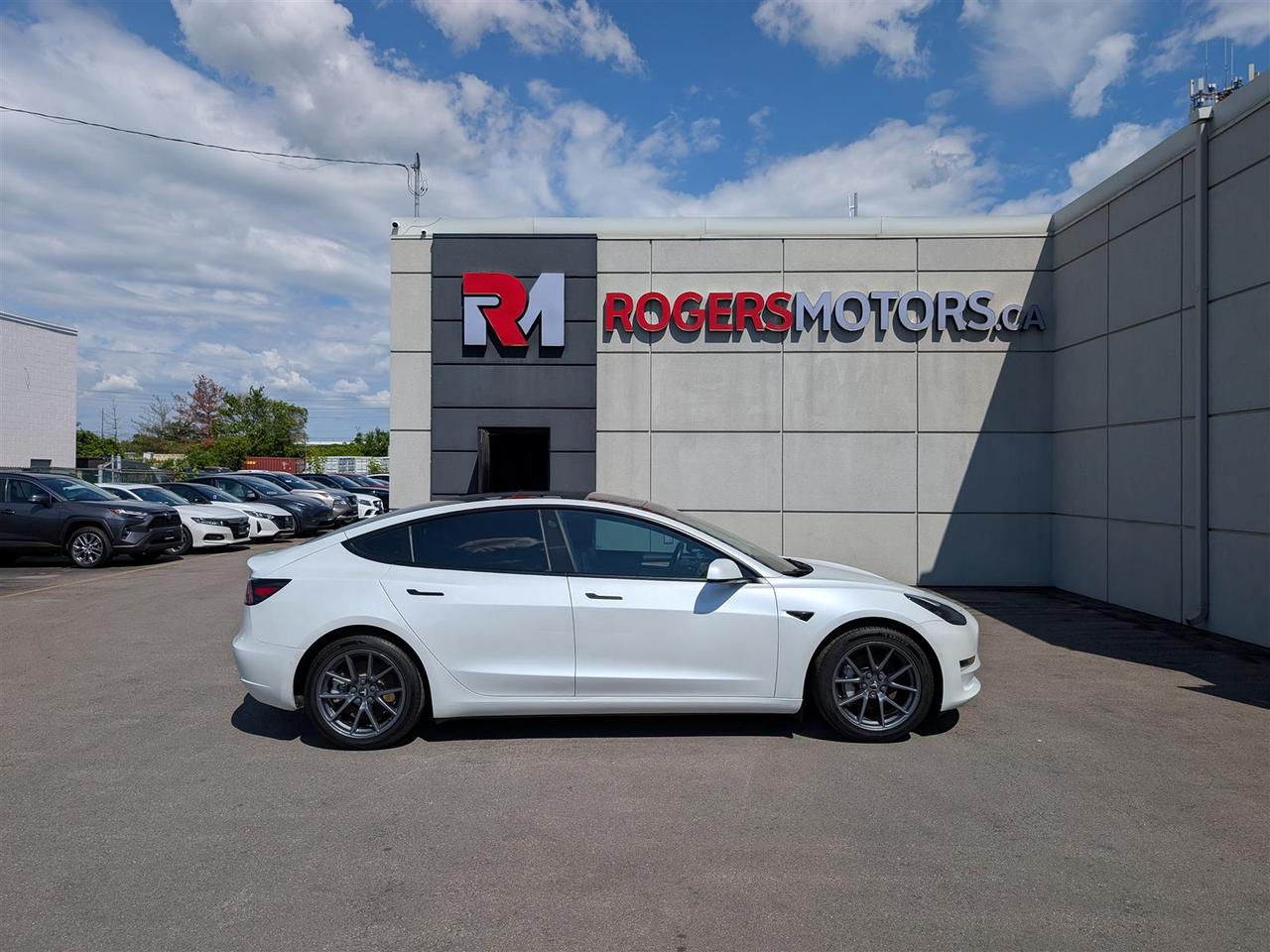 2022 Tesla Model 3 STANDARD Photo